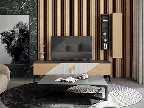 salon-meuble-design