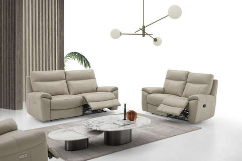 salon cuir 5173 1