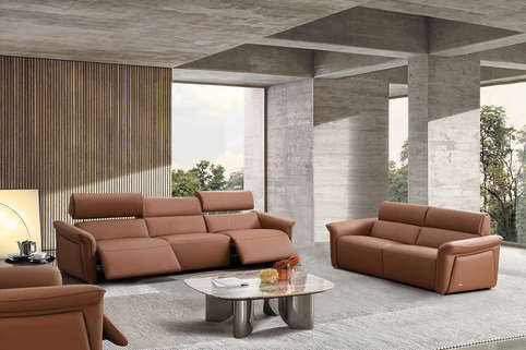 salon cuir cdf250 22