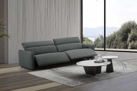 salon cuir cl398 002