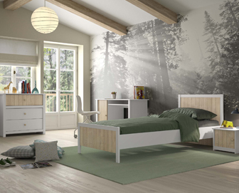 Meubles de chambre jeune