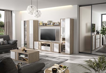 Meubles de salon