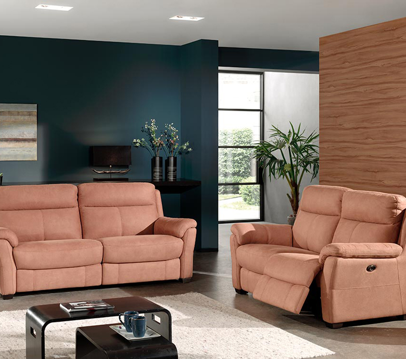 Salon cuir