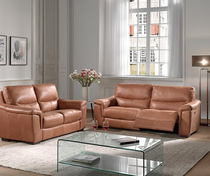 Salon cuir