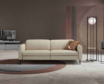 Salon cuir