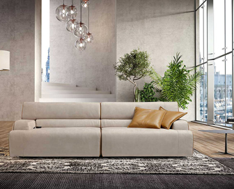 Salon cuir
