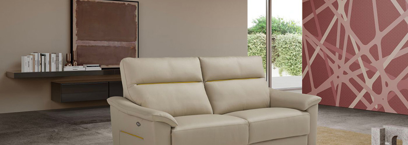 Salon cuir
