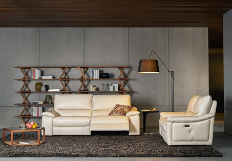 Salon cuir