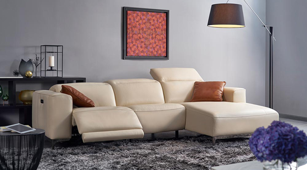Salon cuir